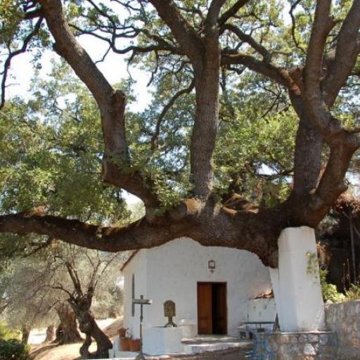 Agia Paraskevi, Lesbos