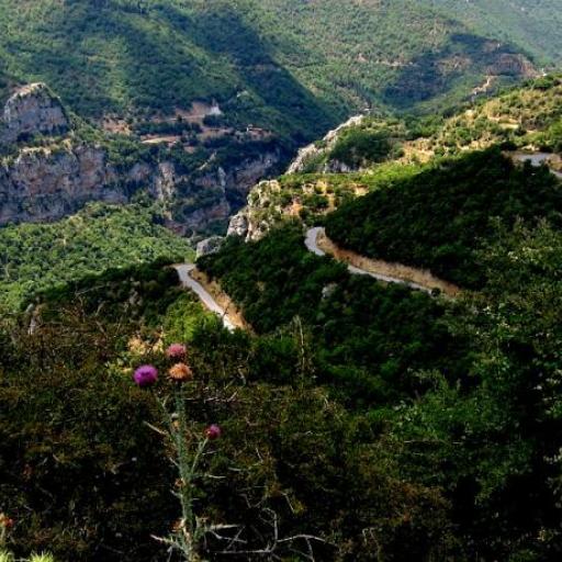 Peloponnese (region)