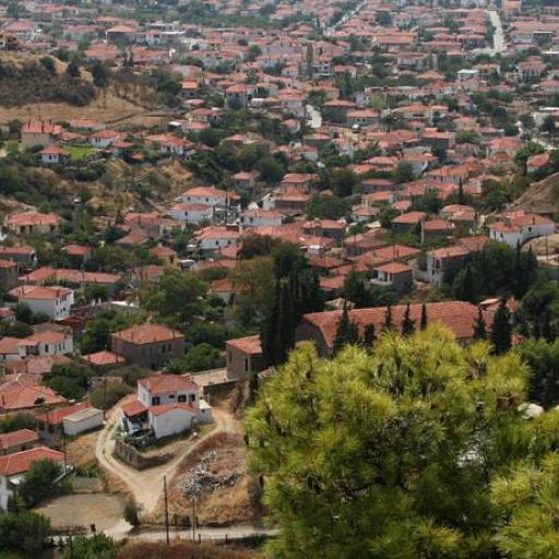 Nikiti